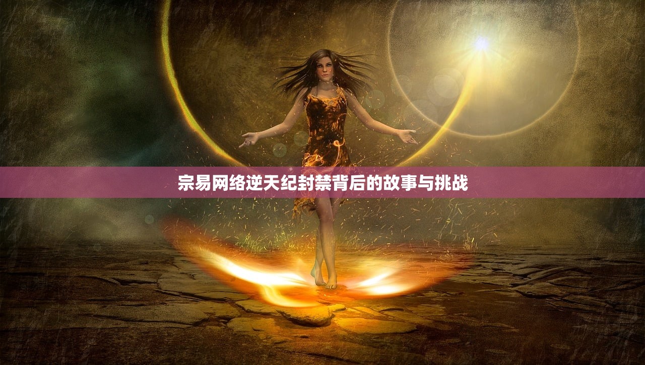 宗易网络逆天纪封禁背后的故事与挑战