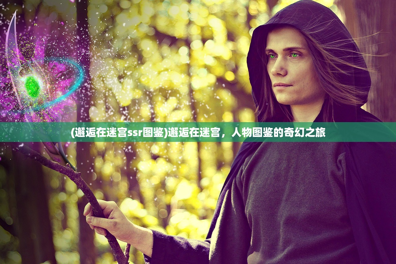 (邂逅在迷宫ssr图鉴)邂逅在迷宫，人物图鉴的奇幻之旅