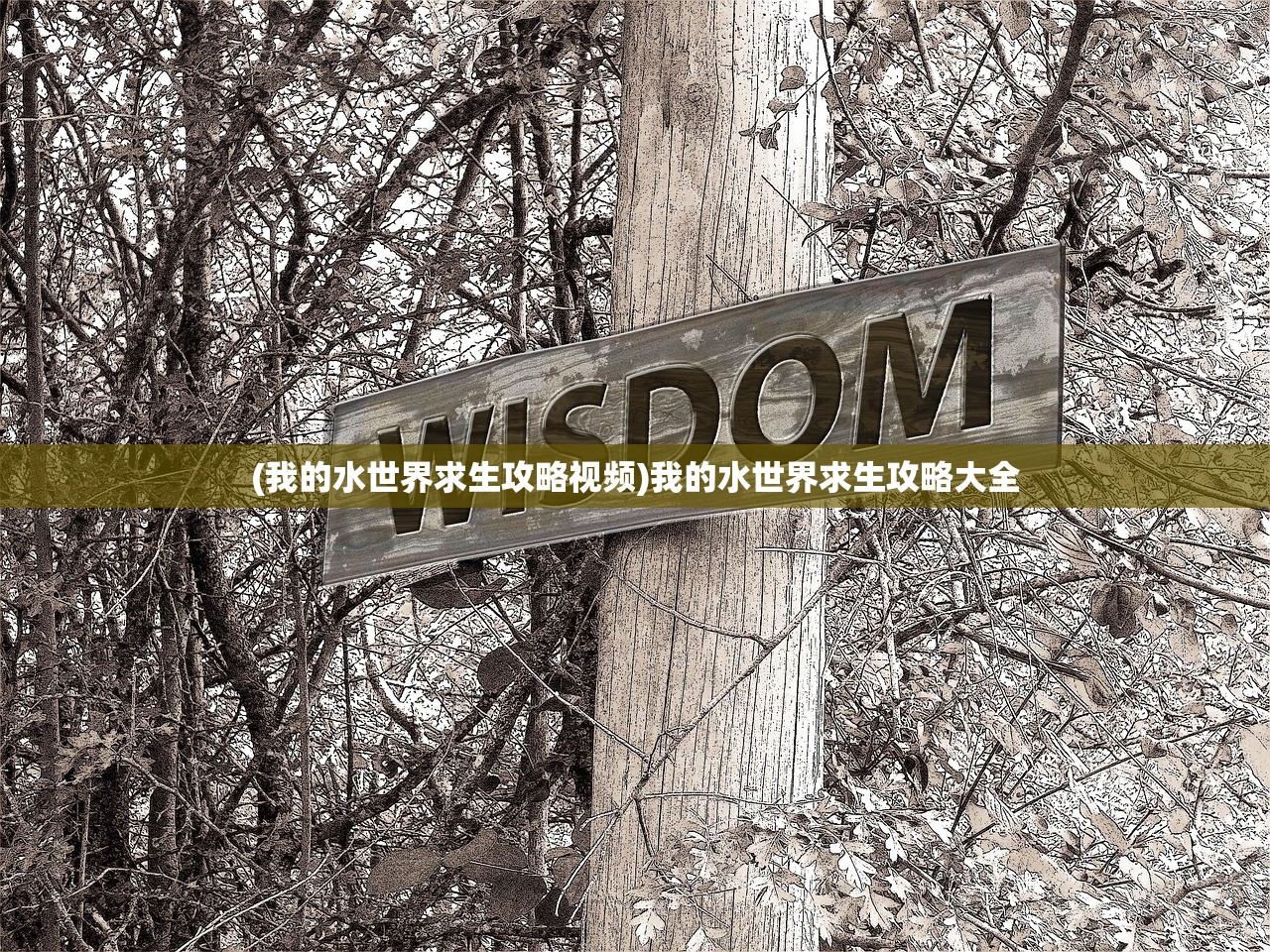 (我的水世界求生攻略视频)我的水世界求生攻略大全