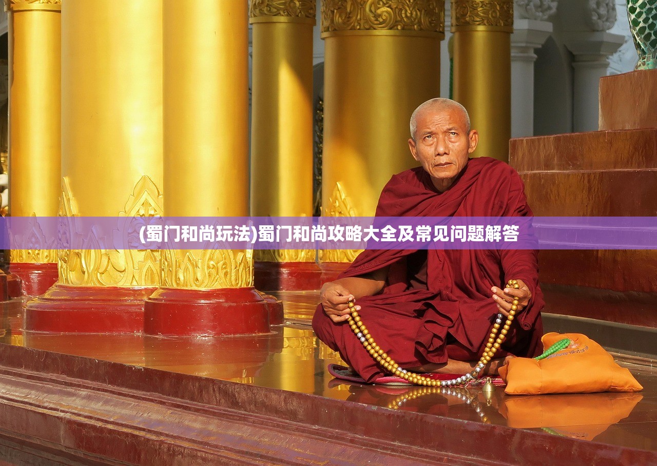 (蜀门和尚玩法)蜀门和尚攻略大全及常见问题解答