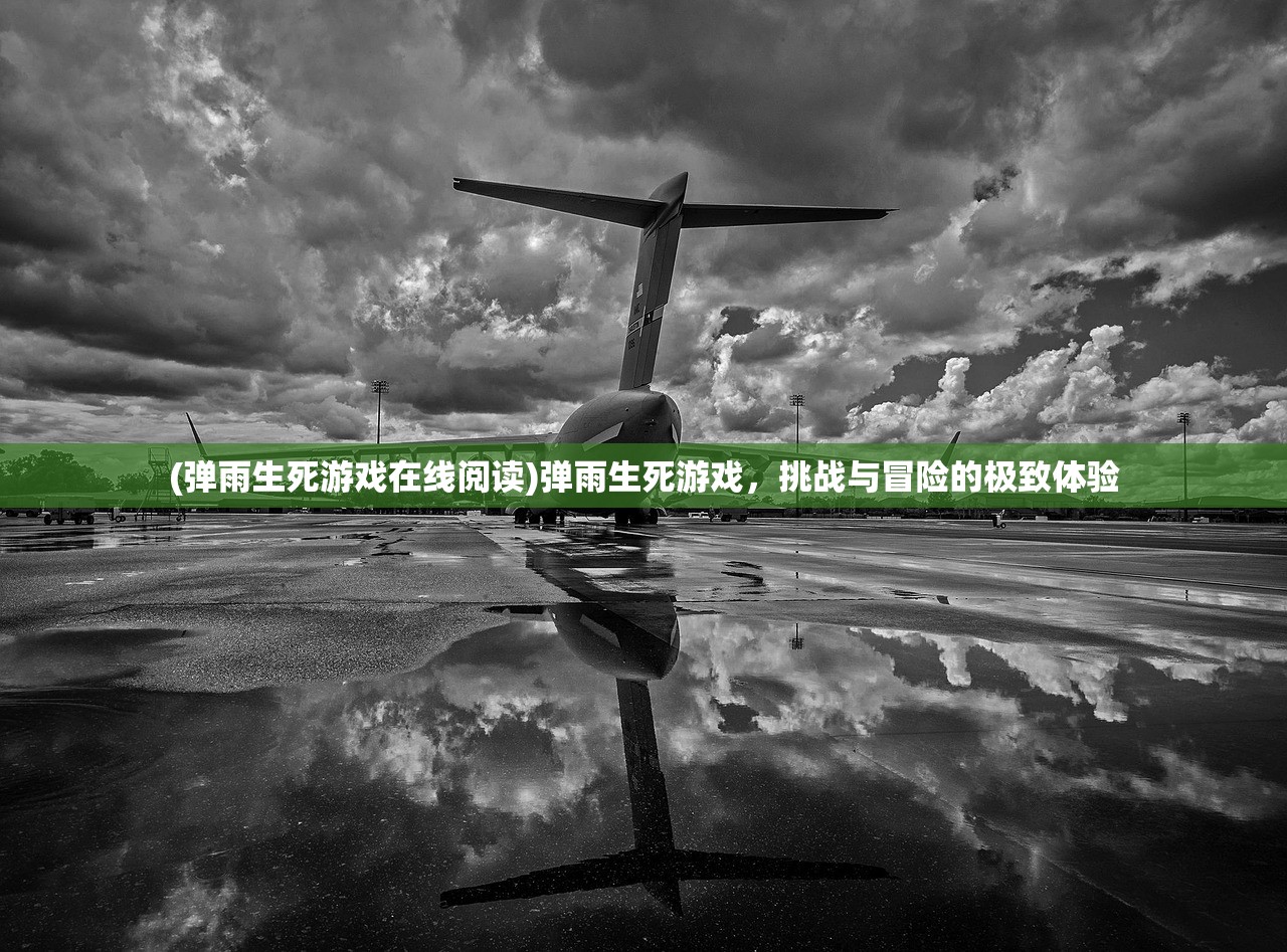 (弹雨生死游戏在线阅读)弹雨生死游戏，挑战与冒险的极致体验