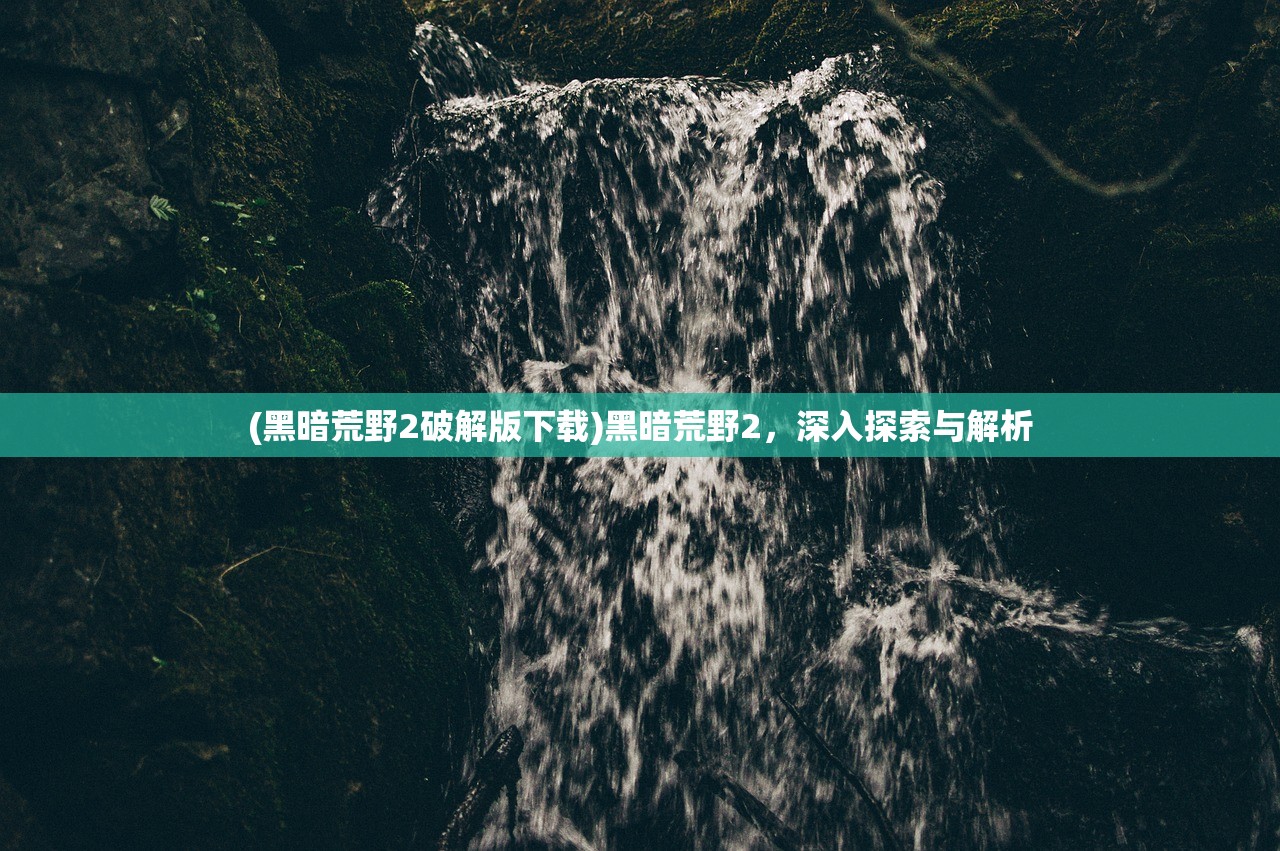 (黑暗荒野2破解版下载)黑暗荒野2，深入探索与解析