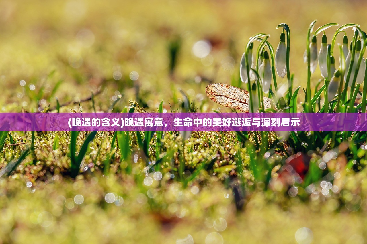 (晚遇的含义)晚遇寓意，生命中的美好邂逅与深刻启示