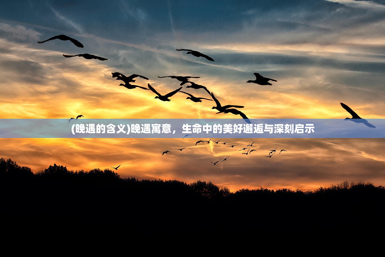(晚遇的含义)晚遇寓意，生命中的美好邂逅与深刻启示