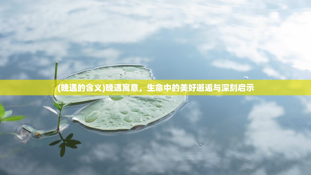 (晚遇的含义)晚遇寓意，生命中的美好邂逅与深刻启示