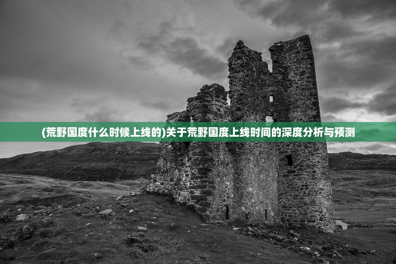 (荒野国度什么时候上线的)关于荒野国度上线时间的深度分析与预测