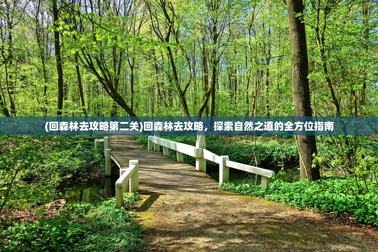 (回森林去攻略第二关)回森林去攻略，探索自然之道的全方位指南