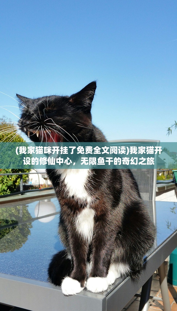 (我家猫咪开挂了免费全文阅读)我家猫开设的修仙中心，无限鱼干的奇幻之旅
