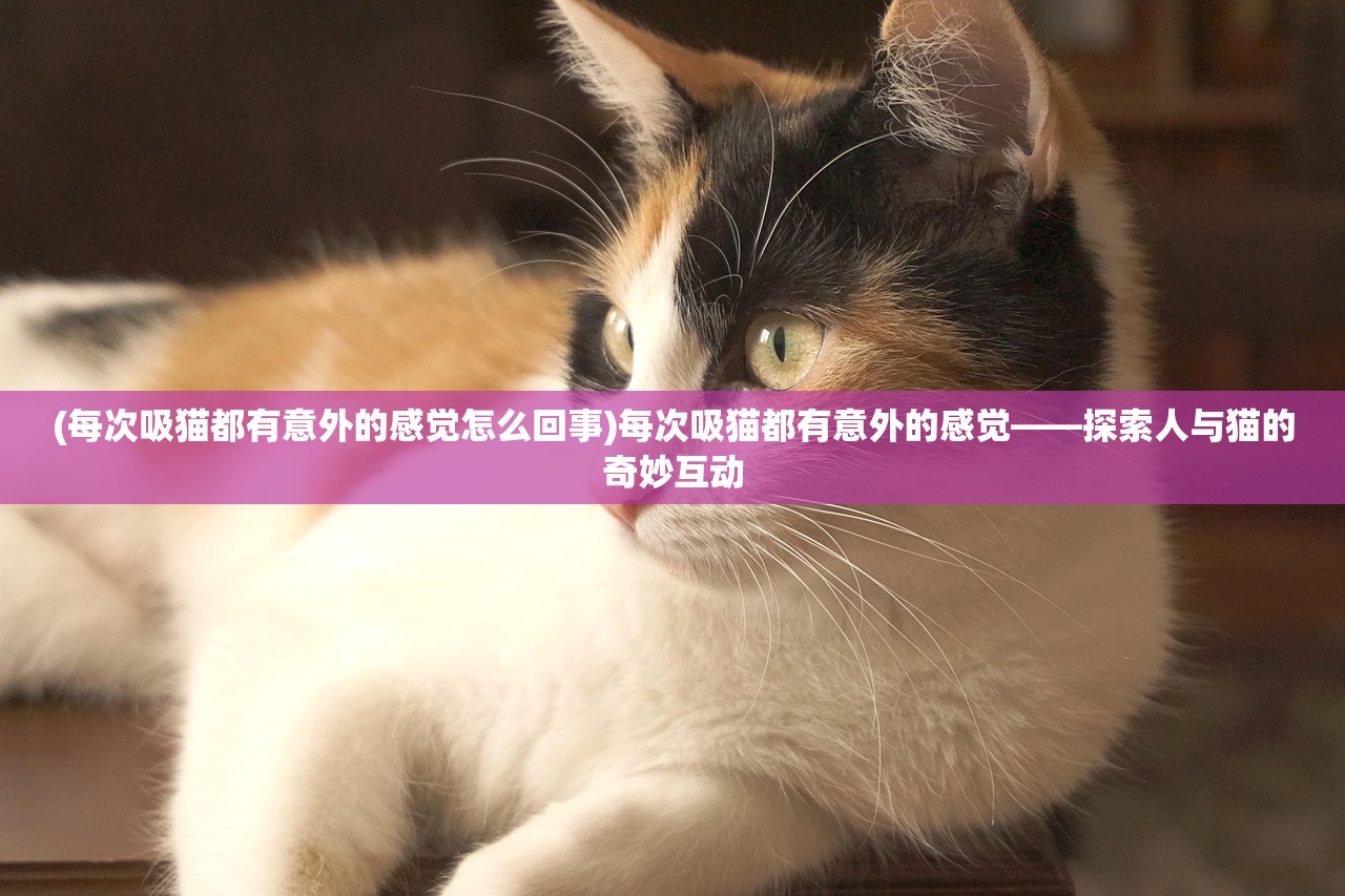 (每次吸猫都有意外的感觉怎么回事)每次吸猫都有意外的感觉——探索人与猫的奇妙互动