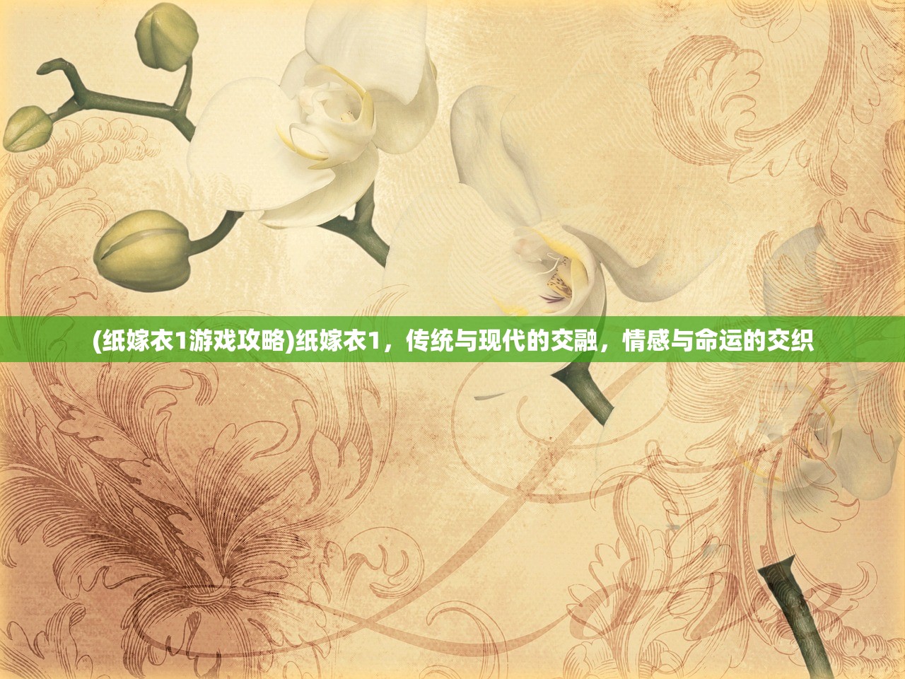 (纸嫁衣1游戏攻略)纸嫁衣1，传统与现代的交融，情感与命运的交织