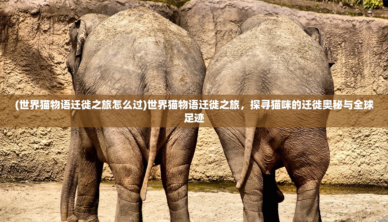 (世界猫物语迁徙之旅怎么过)世界猫物语迁徙之旅，探寻猫咪的迁徙奥秘与全球足迹