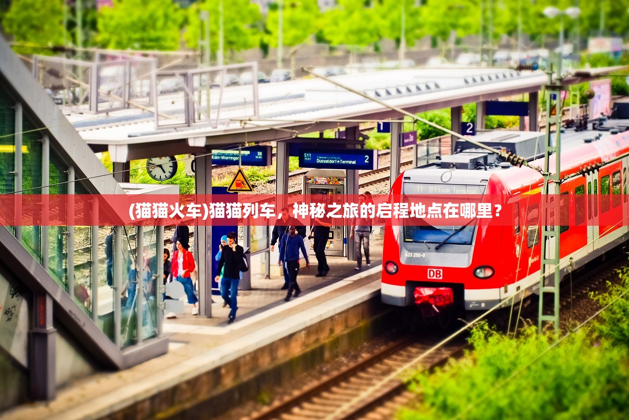 (猫猫火车)猫猫列车，神秘之旅的启程地点在哪里？
