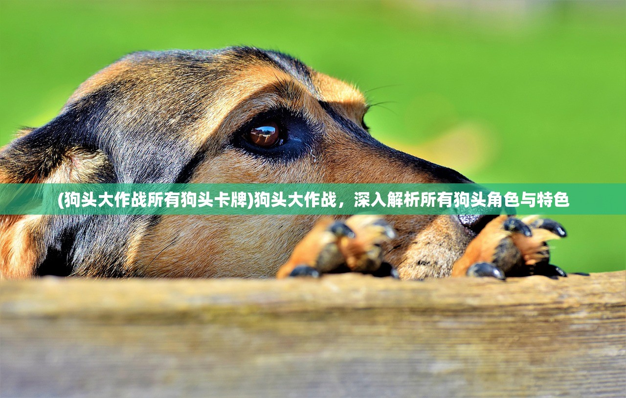 (狗头大作战所有狗头卡牌)狗头大作战，深入解析所有狗头角色与特色