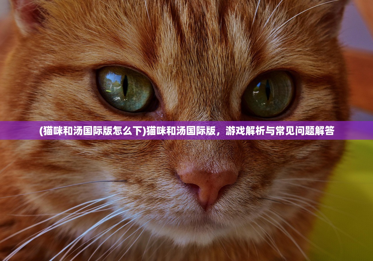 (猫咪和汤国际版怎么下)猫咪和汤国际版，游戏解析与常见问题解答