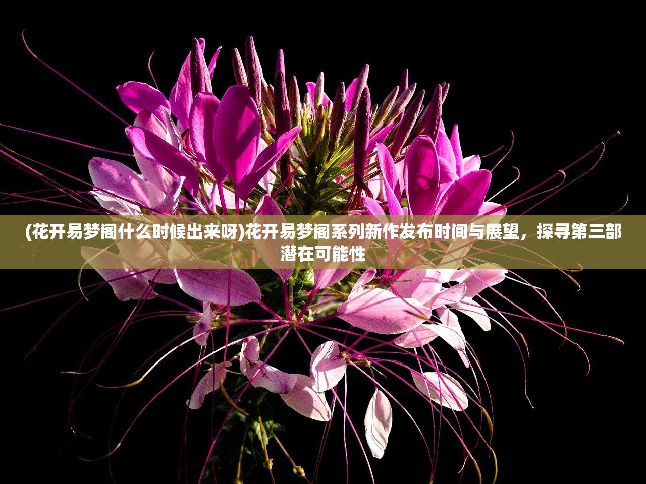 (花开易梦阁什么时候出来呀)花开易梦阁系列新作发布时间与展望，探寻第三部潜在可能性