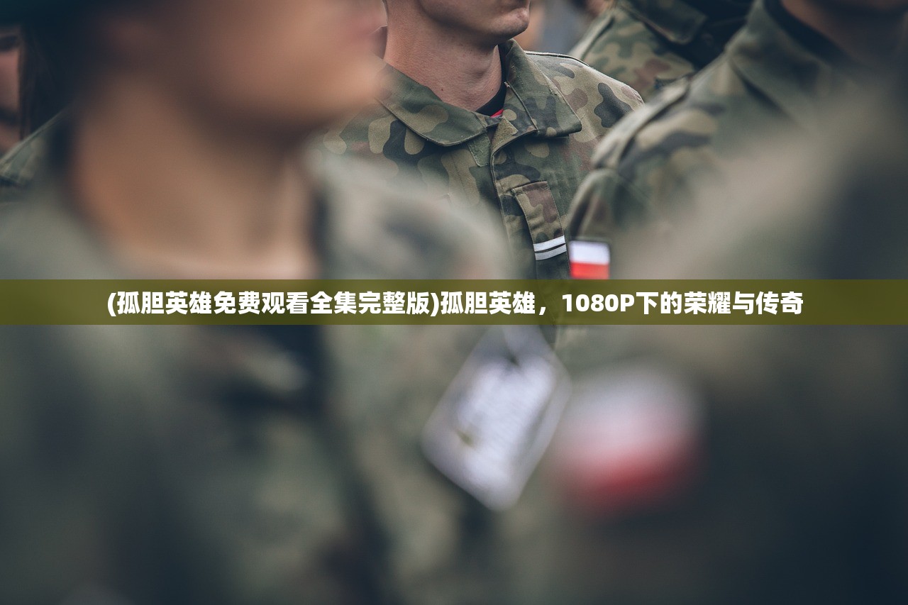 (孤胆英雄免费观看全集完整版)孤胆英雄，1080P下的荣耀与传奇