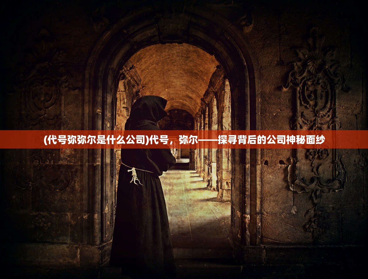 (代号弥弥尔是什么公司)代号，弥尔——探寻背后的公司神秘面纱