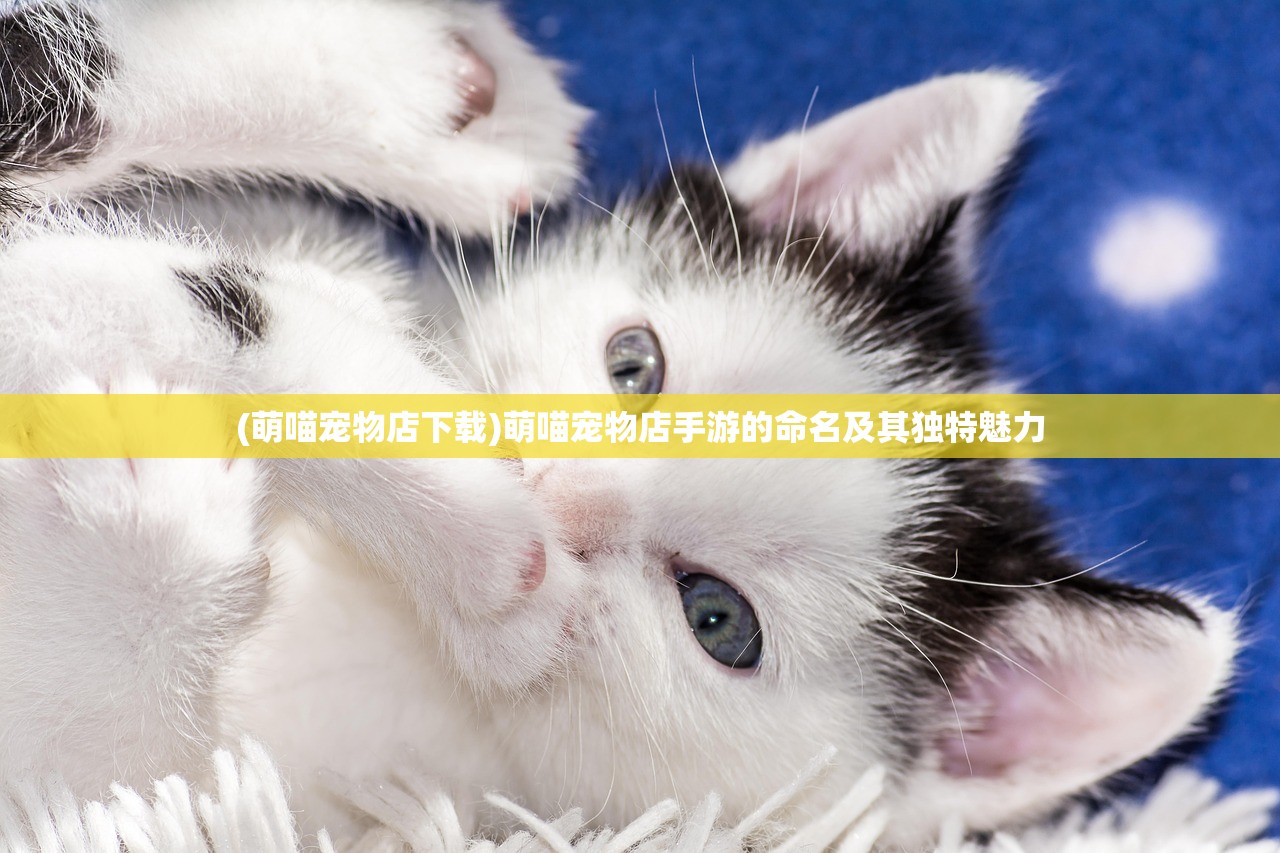 (欧朋浏览器老旧版)欧朋浏览器旧版本回顾及其影响分析