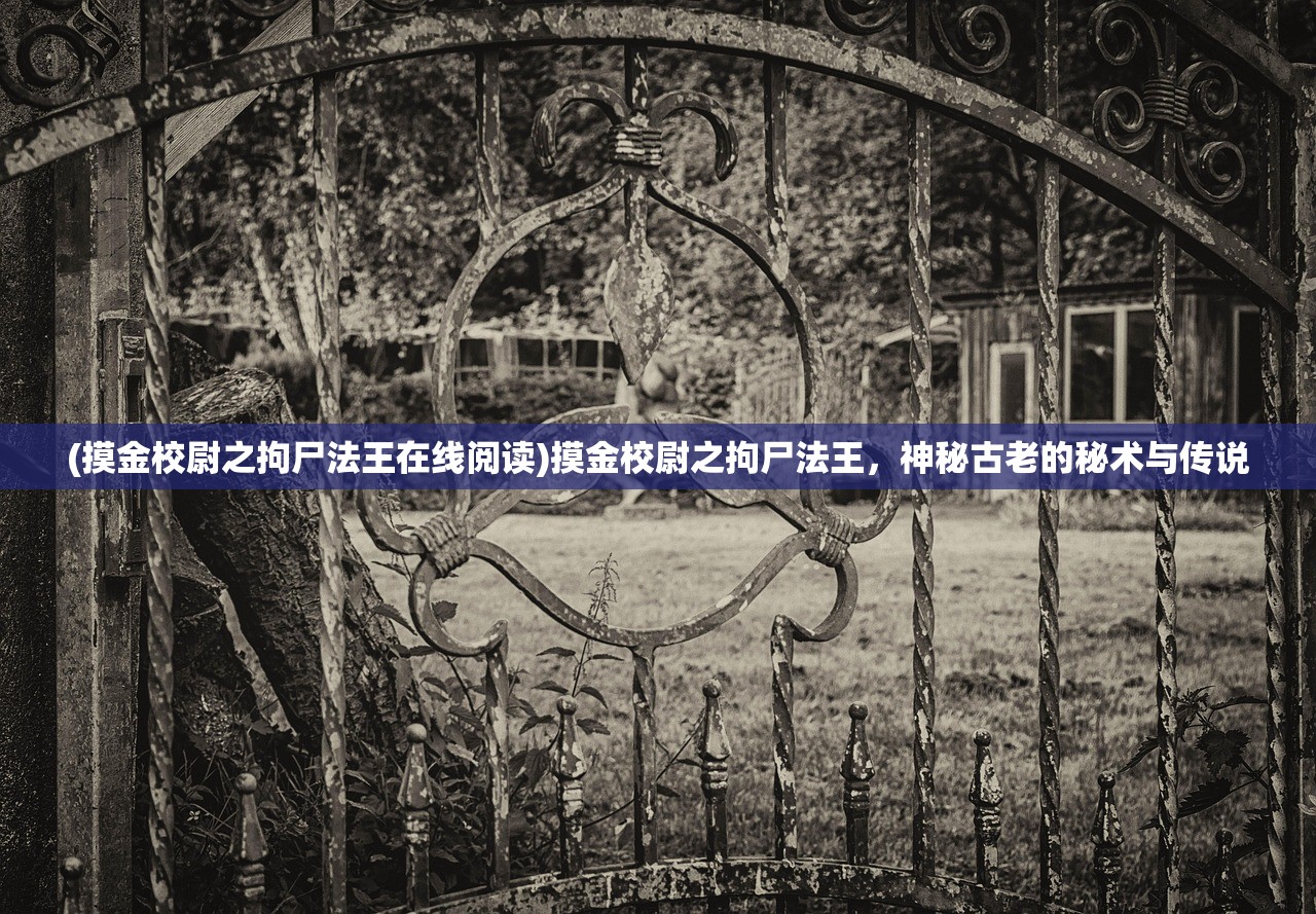 (摸金校尉之拘尸法王在线阅读)摸金校尉之拘尸法王，神秘古老的秘术与传说