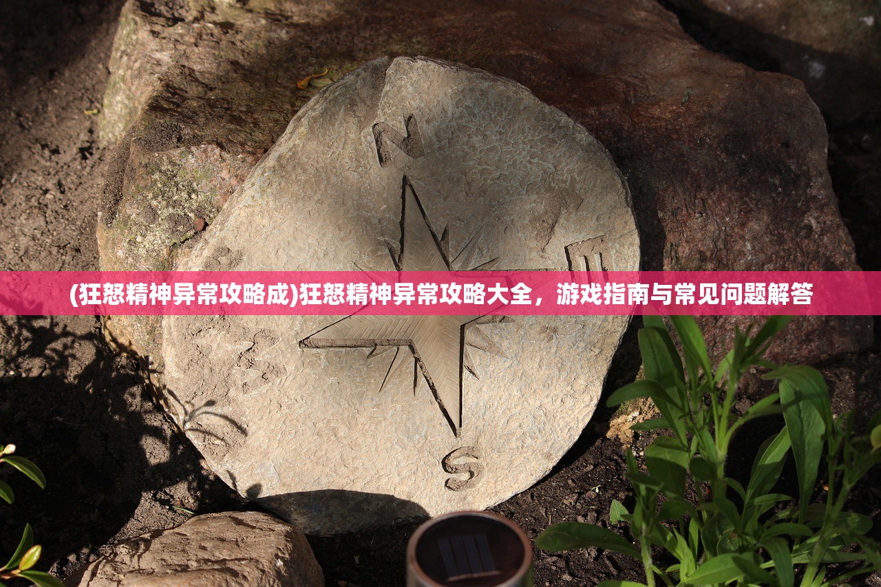 (狂怒精神异常攻略成)狂怒精神异常攻略大全，游戏指南与常见问题解答
