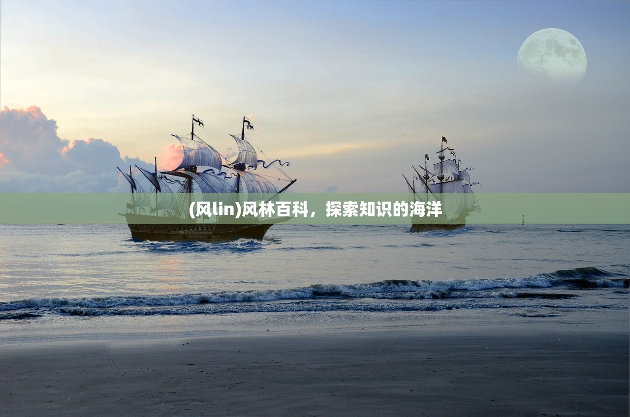 (风lin)风林百科，探索知识的海洋