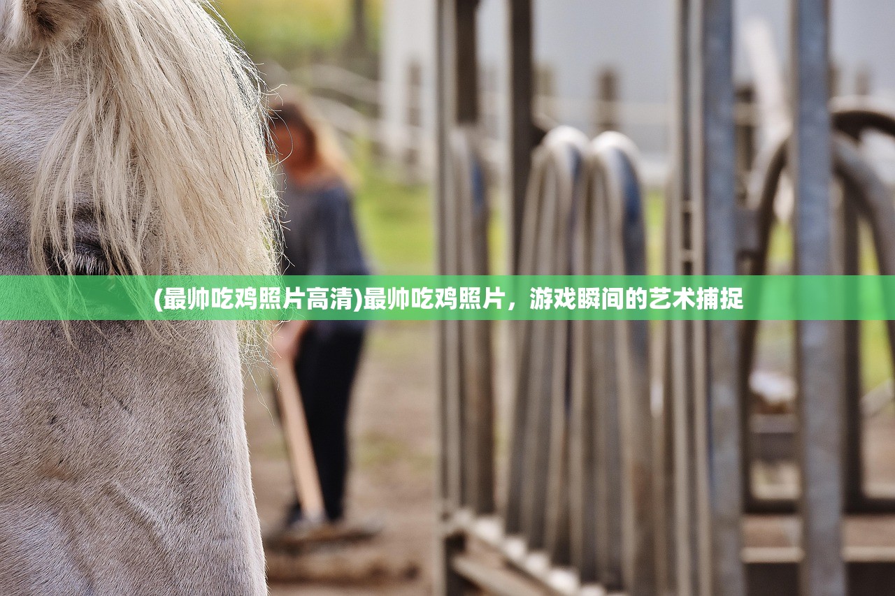 (红警ol装备怎么变红色了呢)红警OL装备变红攻略，揭秘装备升级与进阶之道
