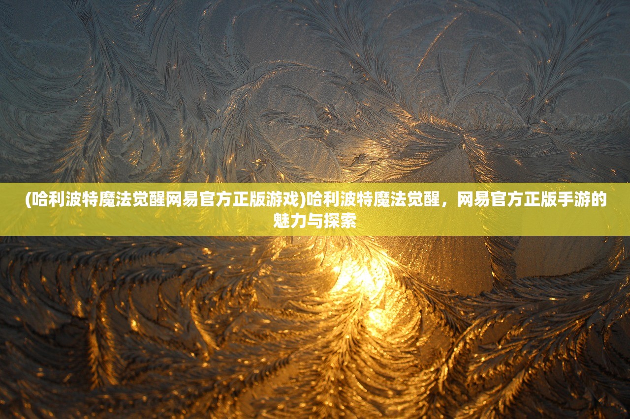 (哈利波特魔法觉醒网易官方正版游戏)哈利波特魔法觉醒，网易官方正版手游的魅力与探索