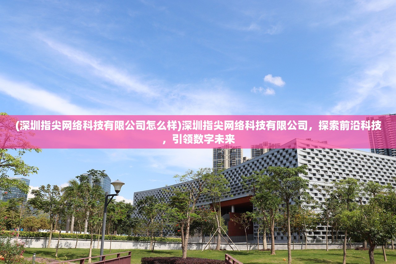 (深圳指尖网络科技有限公司怎么样)深圳指尖网络科技有限公司，探索前沿科技，引领数字未来