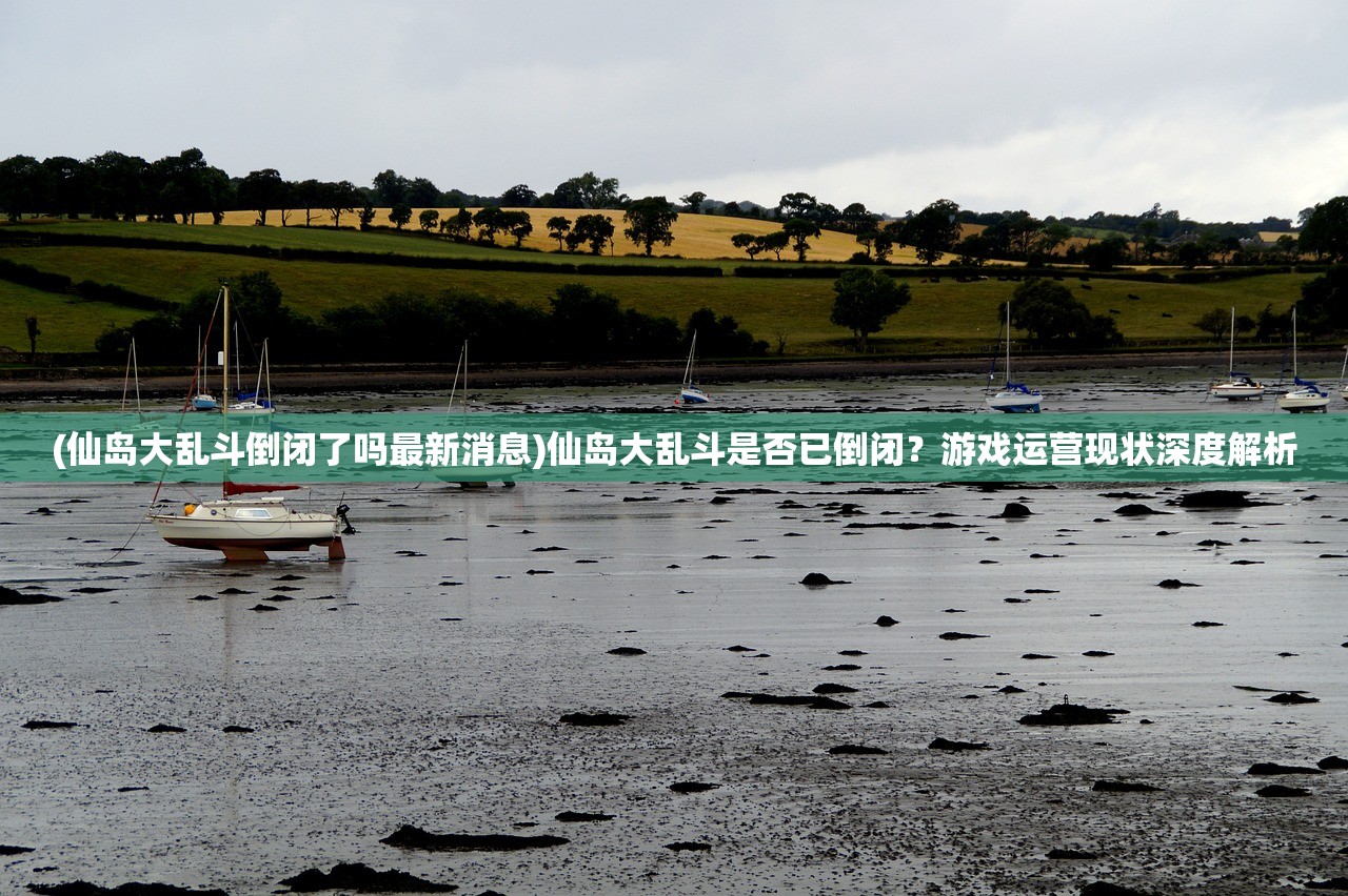 (仙岛大乱斗倒闭了吗最新消息)仙岛大乱斗是否已倒闭？游戏运营现状深度解析