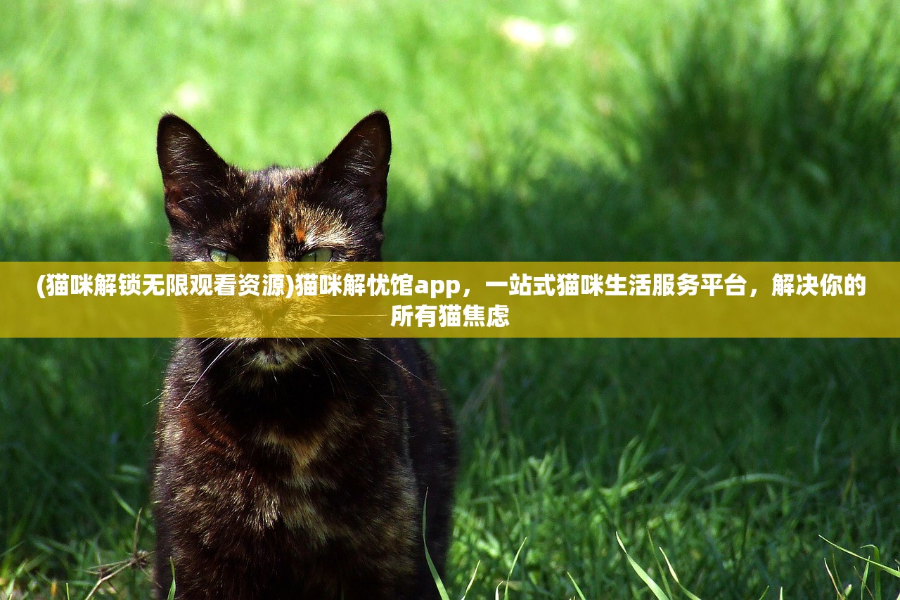 (猫咪解锁无限观看资源)猫咪解忧馆app，一站式猫咪生活服务平台，解决你的所有猫焦虑