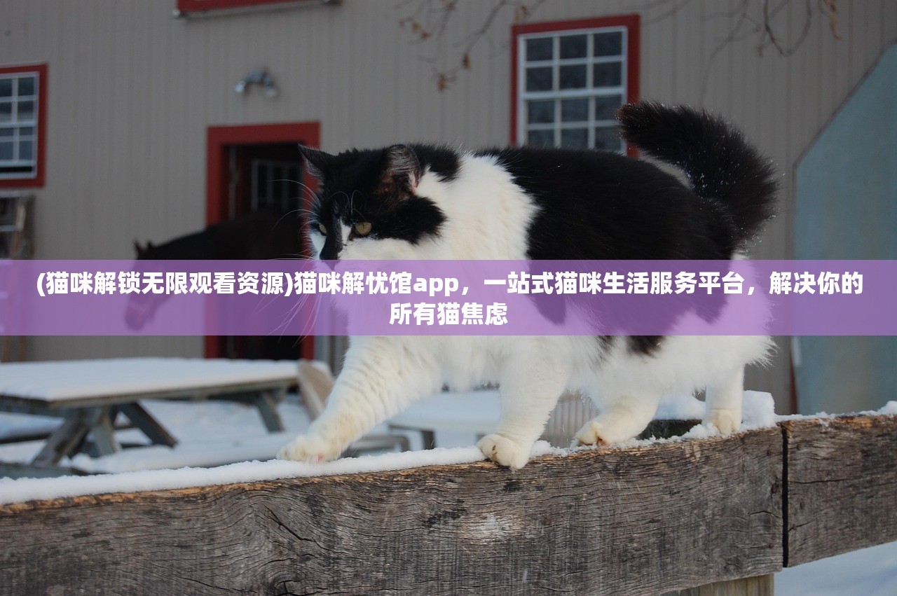 (猫咪解锁无限观看资源)猫咪解忧馆app，一站式猫咪生活服务平台，解决你的所有猫焦虑