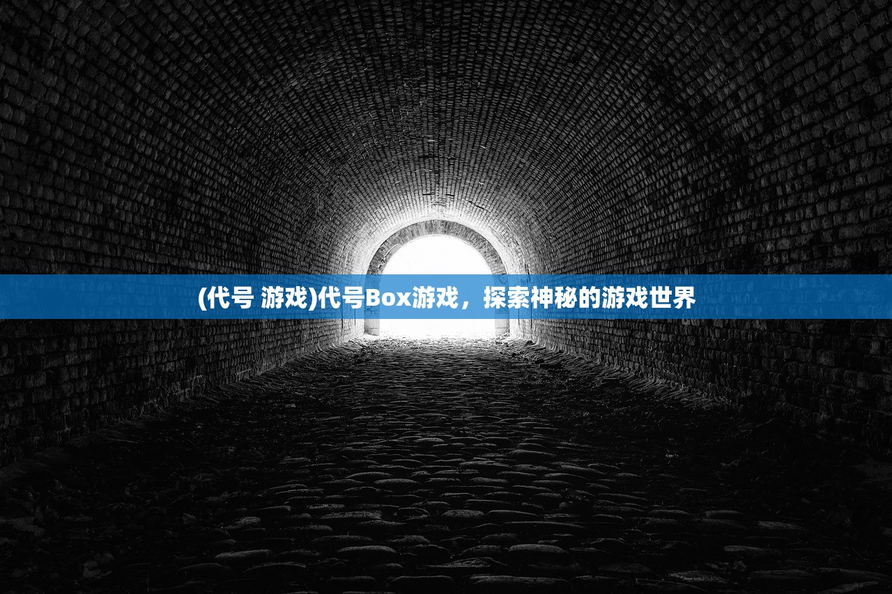 (代号 游戏)代号Box游戏，探索神秘的游戏世界