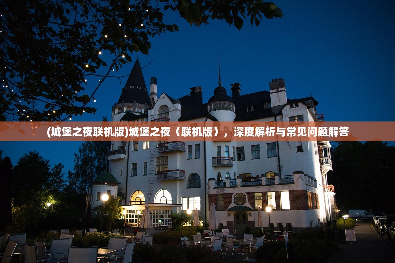 (城堡之夜联机版)城堡之夜（联机版），深度解析与常见问题解答