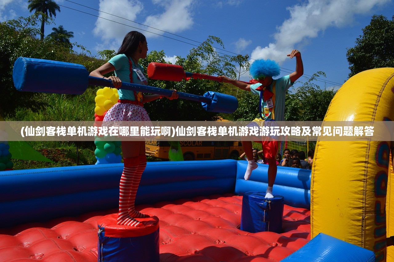 (单机游戏大全免费)单机游戏，探索独立游戏的无限魅力