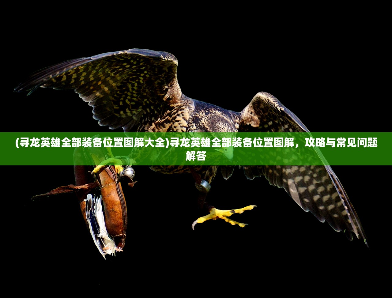 (寻龙英雄全部装备位置图解大全)寻龙英雄全部装备位置图解，攻略与常见问题解答