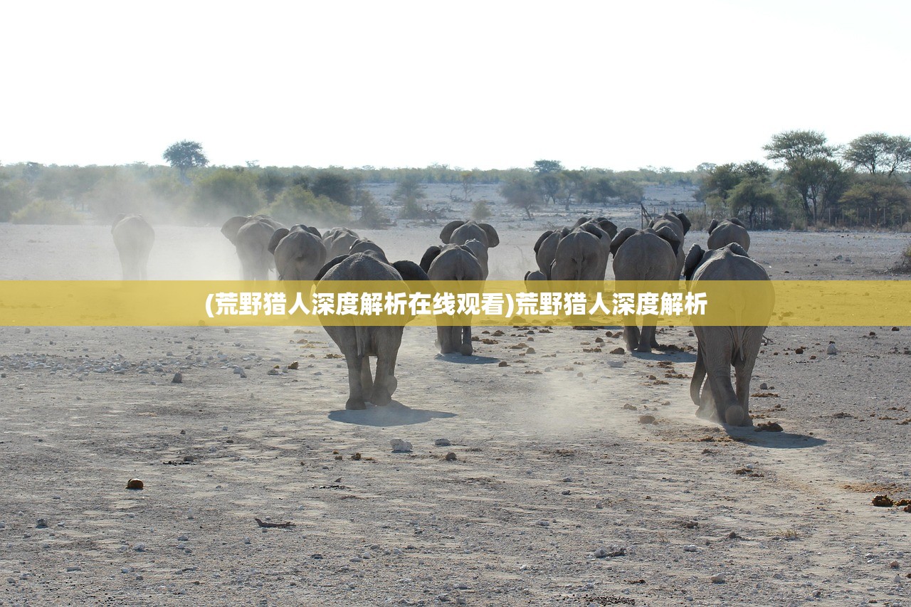(荒野猎人深度解析在线观看)荒野猎人深度解析