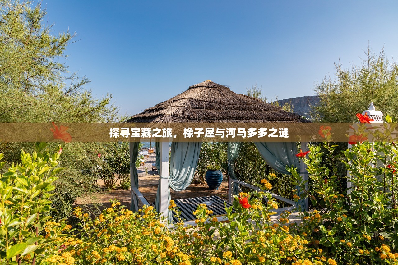 探寻宝藏之旅，橡子屋与河马多多之谜