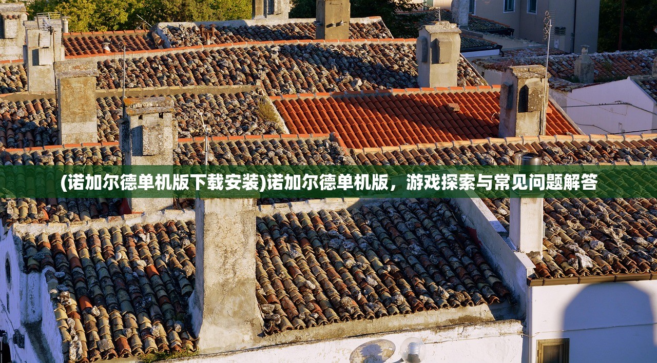 (诺加尔德单机版下载安装)诺加尔德单机版，游戏探索与常见问题解答