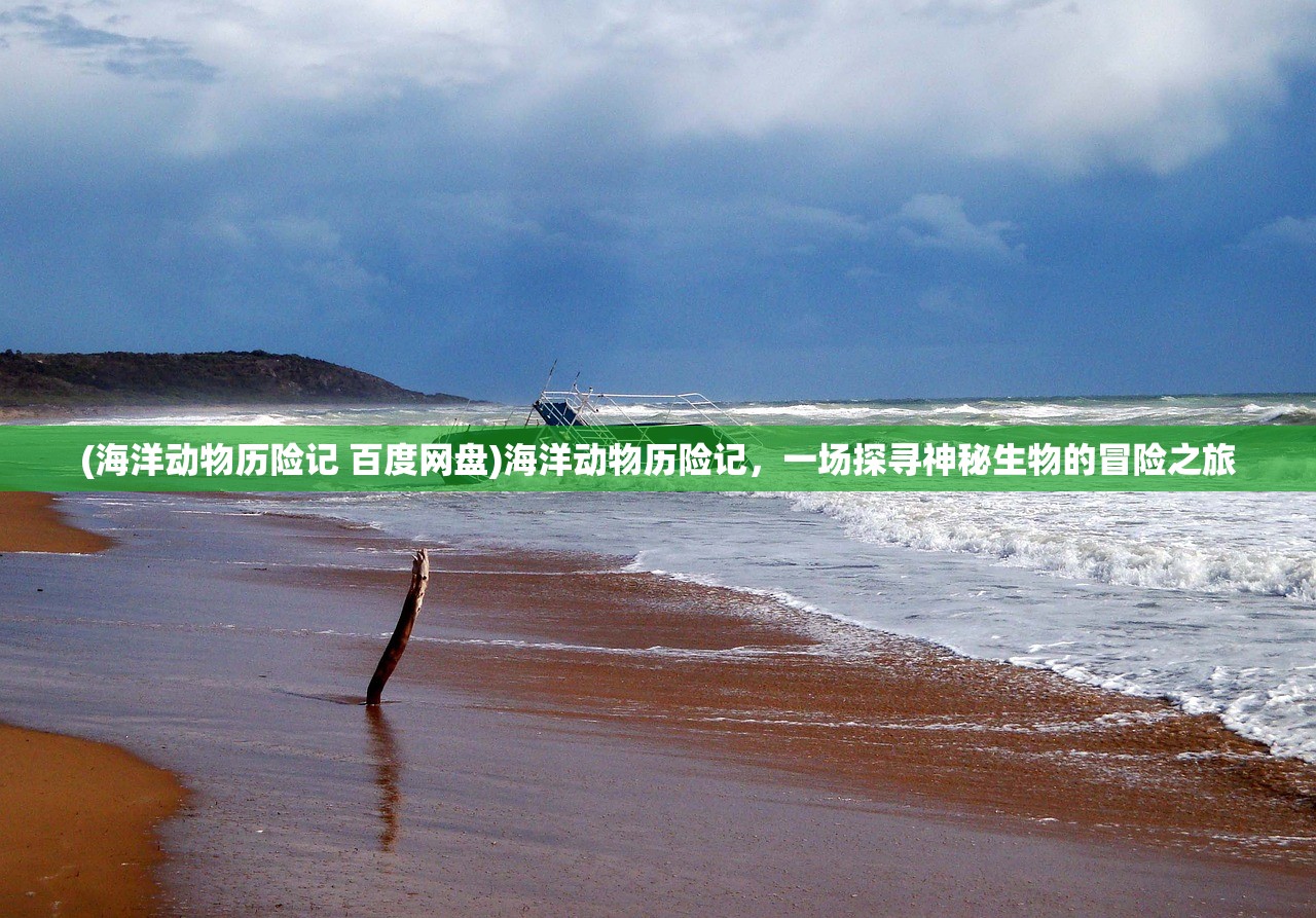 (海洋动物历险记 百度网盘)海洋动物历险记，一场探寻神秘生物的冒险之旅