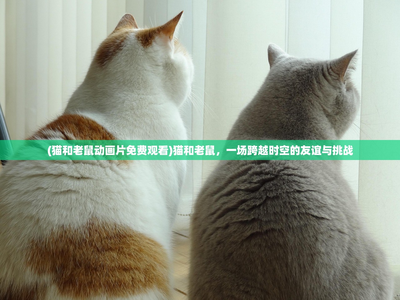(猫和老鼠动画片免费观看)猫和老鼠，一场跨越时空的友谊与挑战