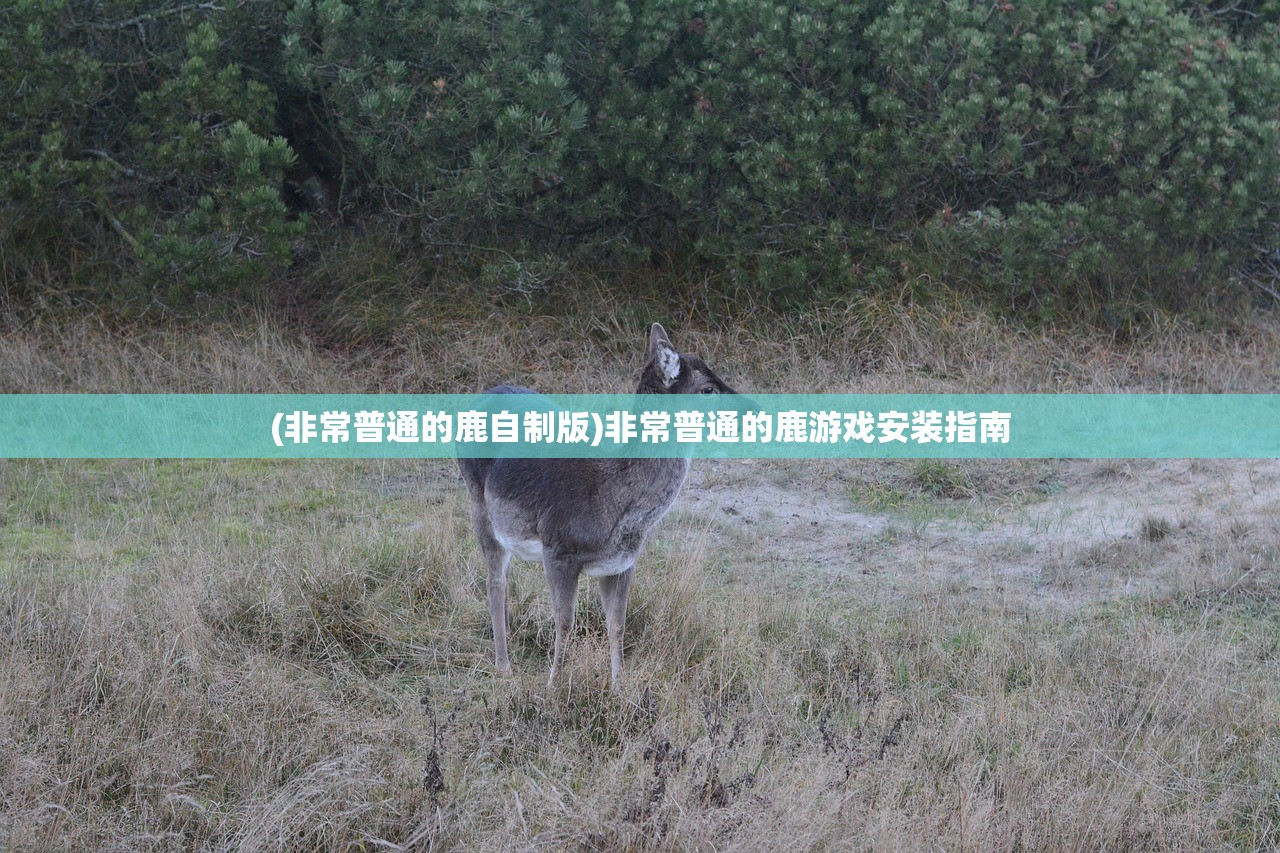 (非常普通的鹿自制版)非常普通的鹿游戏安装指南
