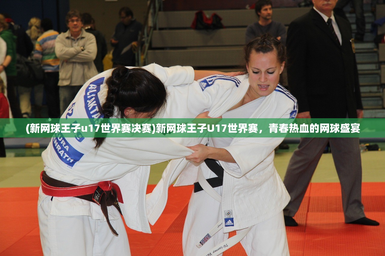 (新网球王子u17世界赛决赛)新网球王子U17世界赛，青春热血的网球盛宴
