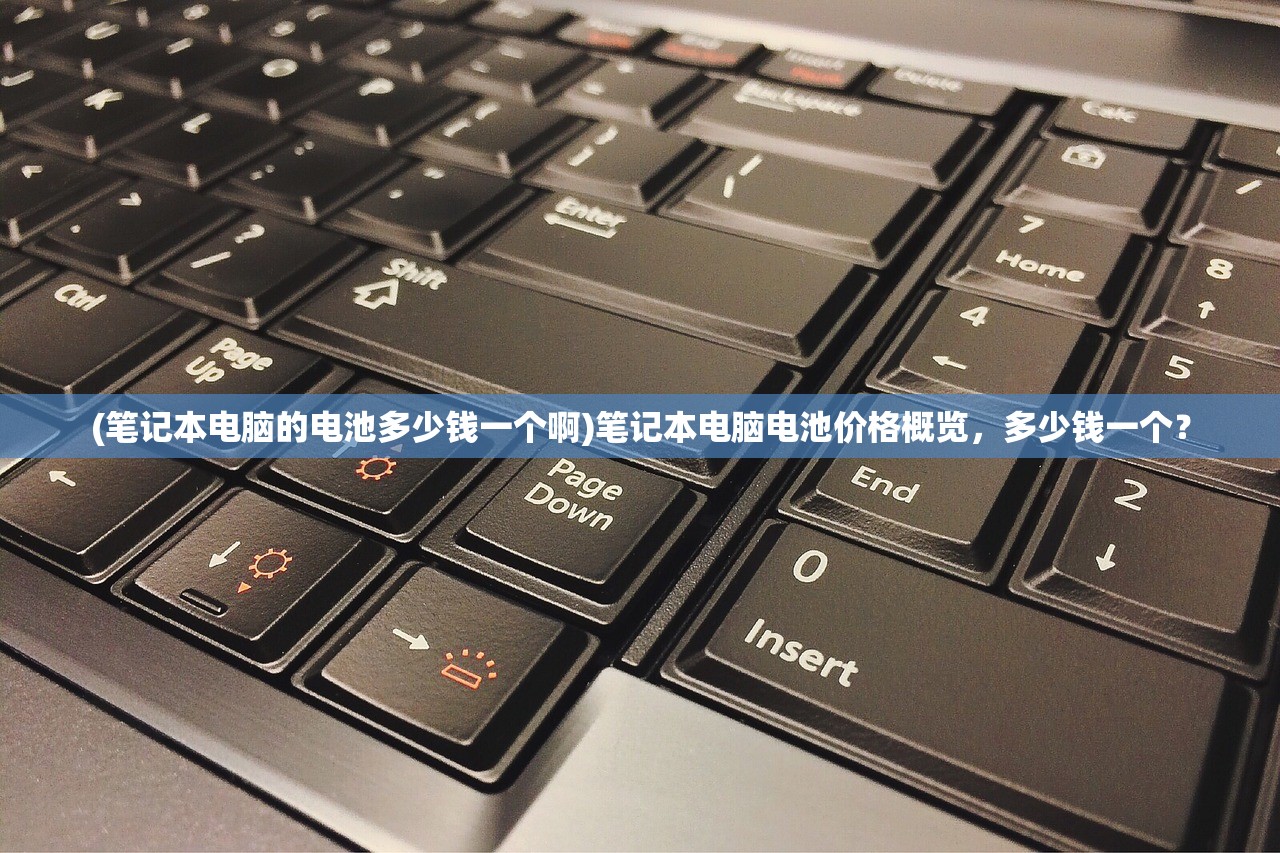 (笔记本电脑的电池多少钱一个啊)笔记本电脑电池价格概览，多少钱一个？