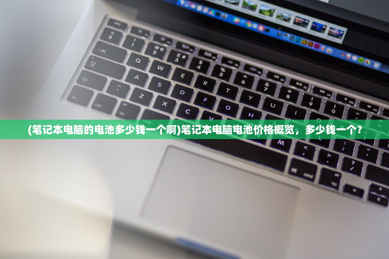 (笔记本电脑的电池多少钱一个啊)笔记本电脑电池价格概览，多少钱一个？