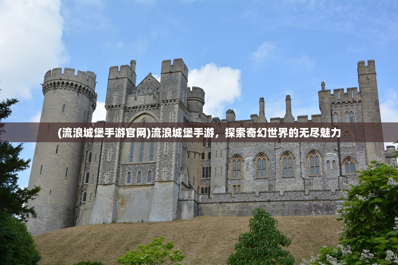 (流浪城堡手游官网)流浪城堡手游，探索奇幻世界的无尽魅力