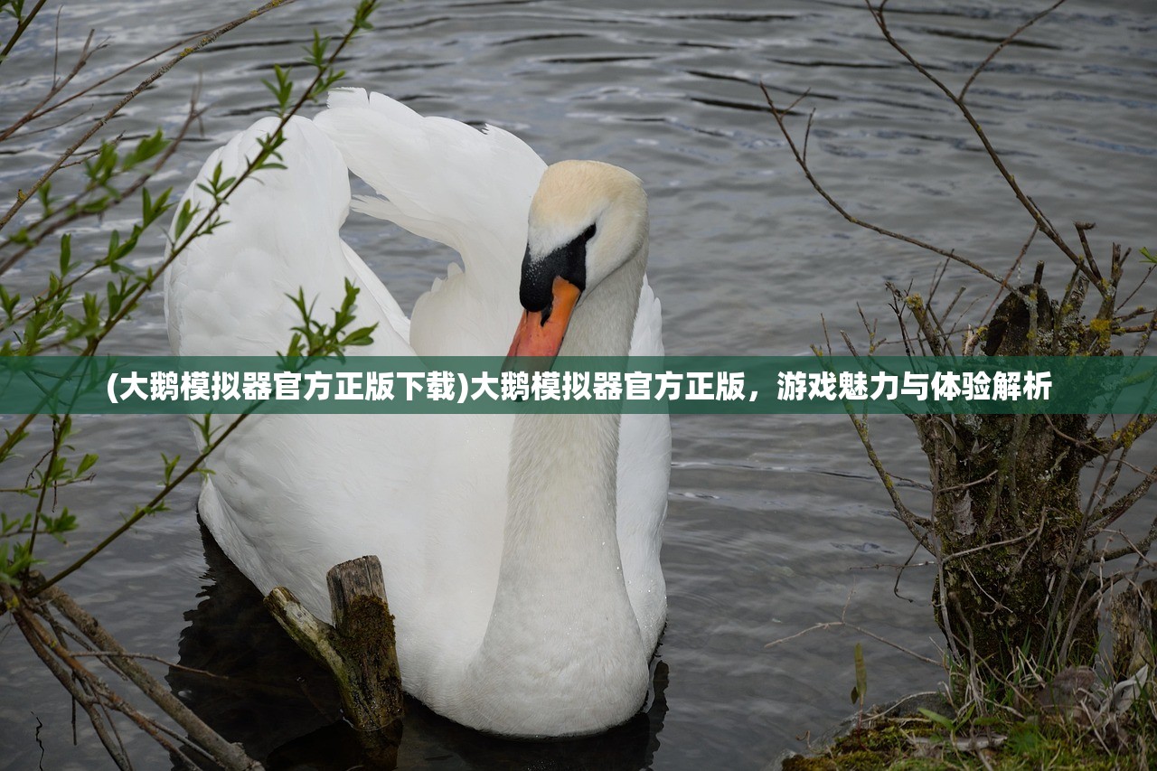 (大鹅模拟器官方正版下载)大鹅模拟器官方正版，游戏魅力与体验解析