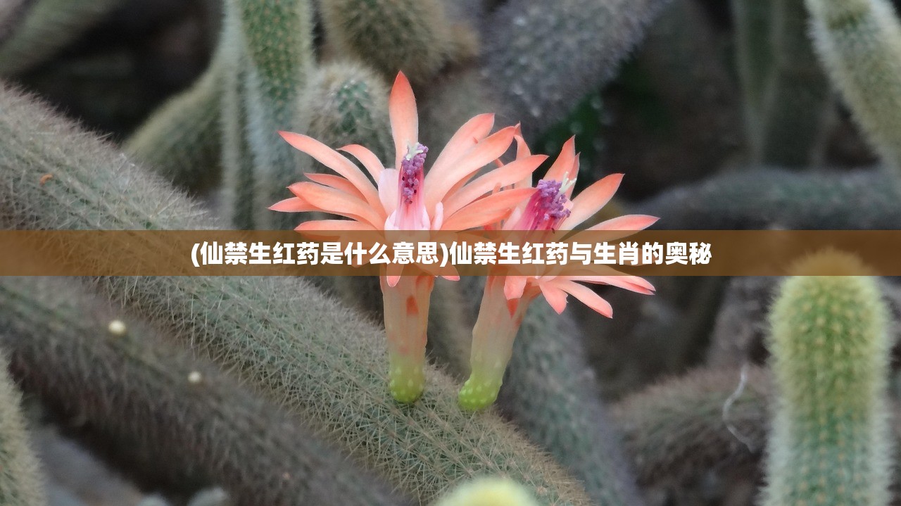 (倚天屠龙记苏有朋版)倚天屠龙记，武侠世界的巅峰之作
