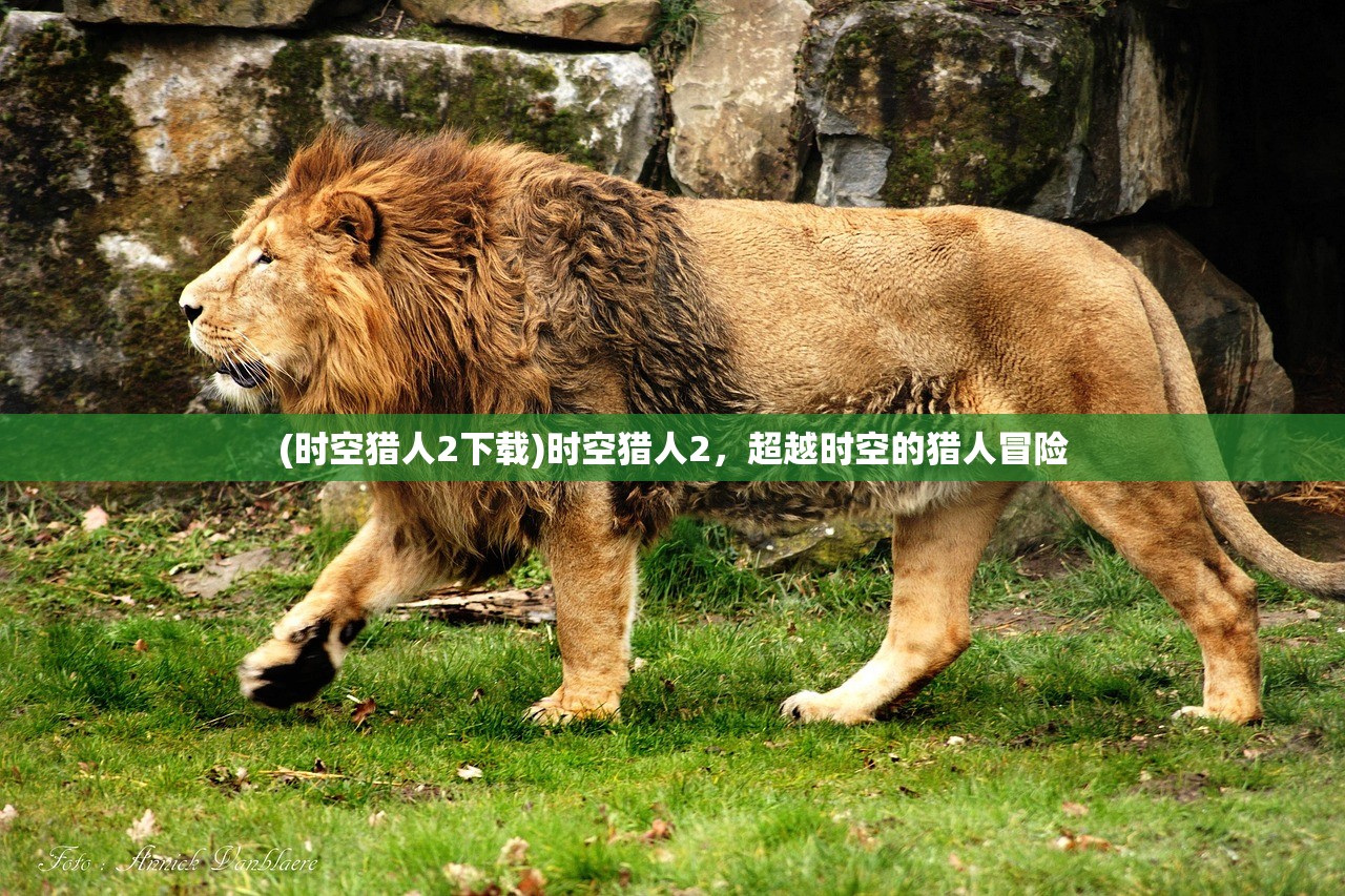 (时空猎人2下载)时空猎人2，超越时空的猎人冒险