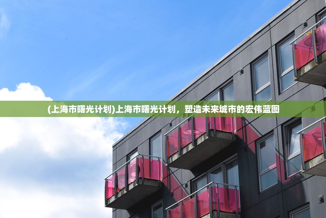 (上海市曙光计划)上海市曙光计划，塑造未来城市的宏伟蓝图