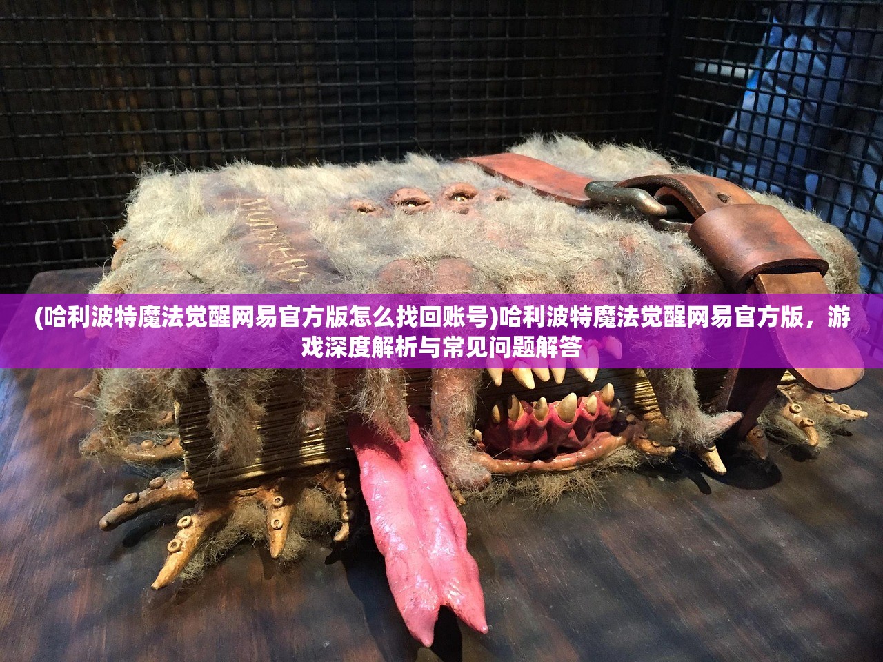 (哈利波特魔法觉醒网易官方版怎么找回账号)哈利波特魔法觉醒网易官方版，游戏深度解析与常见问题解答